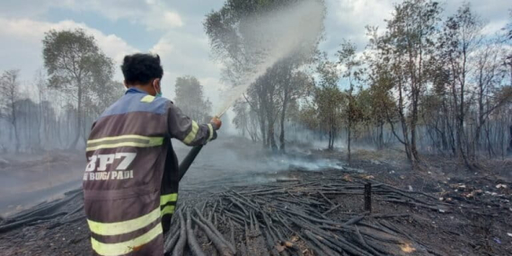 ketika-kebakaran-hutan-dan-lahan-menggila-di-kalimantan