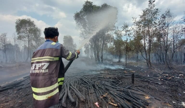 ketika-kebakaran-hutan-dan-lahan-menggila-di-kalimantan