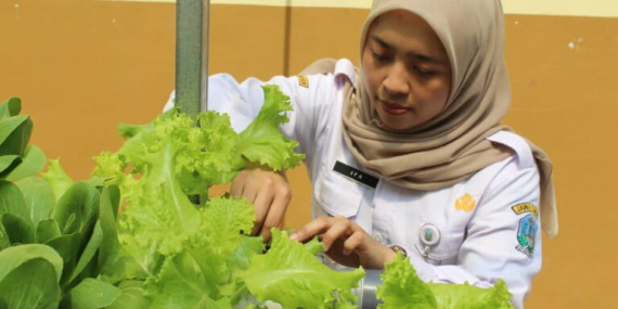 dari-tanam-selada-hingga-ternak-lele,-sekolah-ini-ajarkan-kemandirian-pangan