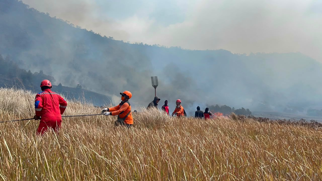 karhutla-melanda-kawasan-gunung-bromo