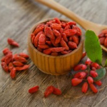 7-manfaat-goji-berry-untuk-ibu-hamil-dan-kesuburan