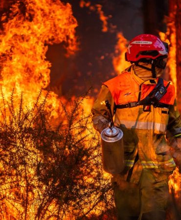 europe’s-wildfires-have-raised-the-danger-posed-by-unexploded-wwii-bombs