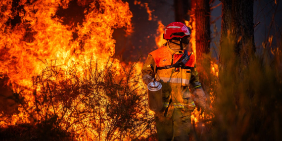 europe’s-wildfires-have-raised-the-danger-posed-by-unexploded-wwii-bombs