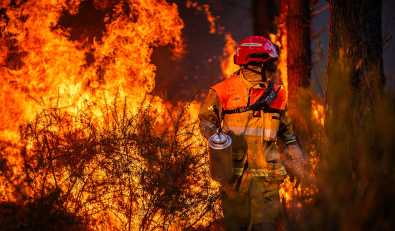 europe’s-wildfires-have-raised-the-danger-posed-by-unexploded-wwii-bombs
