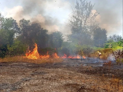 karhutla-terus-berulang,-6-provinsi-terdampak-dan-puluhan-hektare-lahan-hangus