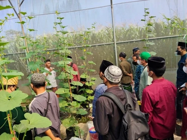 rmi-pcnu-klaten-gandeng-fkpp,-bekali-pesantren-budi-daya-mentimun-untuk-kemandirian-pangan
