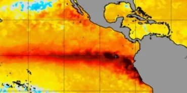 el-nino-bakal-memburuk-di-desember,-pbb-bersiap-antisipasi-paceklik-pangan-global