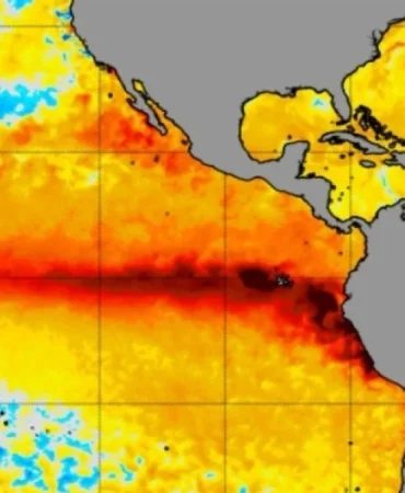 el-nino-bakal-memburuk-di-desember,-pbb-bersiap-antisipasi-paceklik-pangan-global