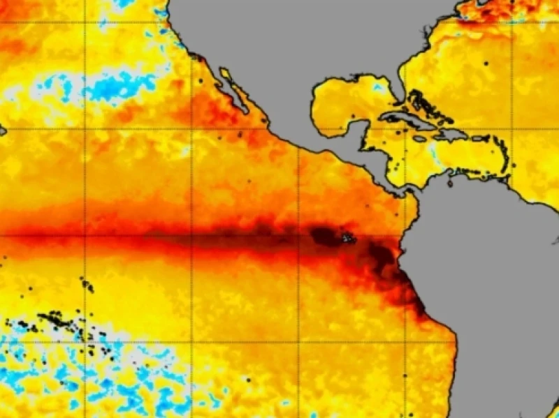 el-nino-bakal-memburuk-di-desember,-pbb-bersiap-antisipasi-paceklik-pangan-global
