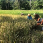jalan-panjang-soge-natarmage-dan-goban-runut-pertahankan-tanah-ulayat