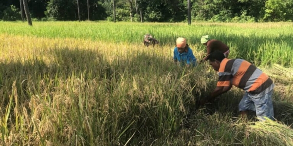 jalan-panjang-soge-natarmage-dan-goban-runut-pertahankan-tanah-ulayat