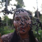 perempuan-hebat-batin-sembilan,-kelola-399-hektar-hutan-komunal-dan-ahlinya-obat-tradisional
