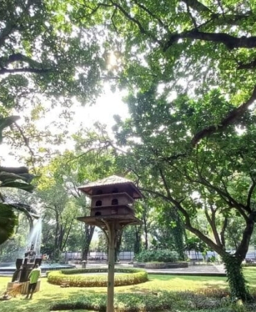 cek-kualitas-ruang-hijau-perkotaan,-cukup-amati-burung