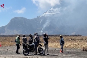 kebakaran-gunung-bromo-meluas,-520-hektare-lahan-terbakar