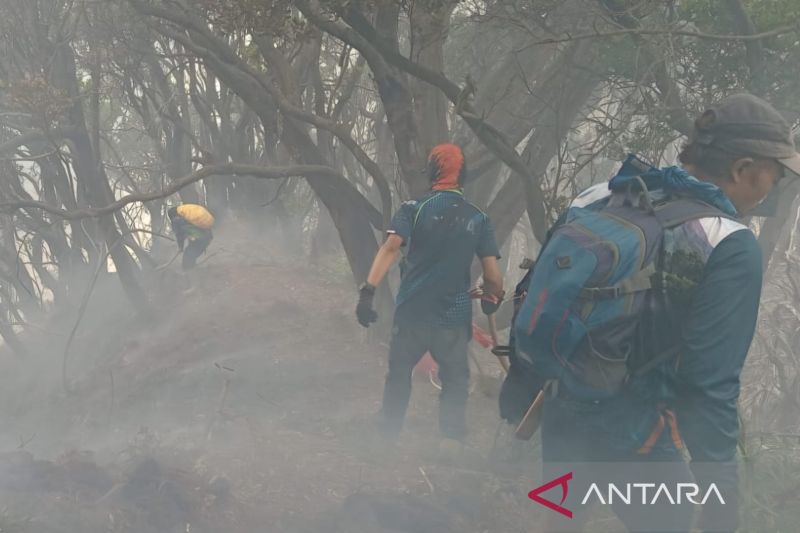 tnggp-catat-150-petugas-gabungan-masih-berupaya-padamkan-api