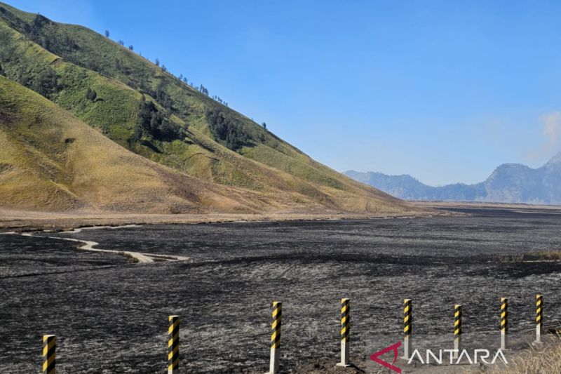 menhut-serahkan-penyelidikan-penyebab-karhutla-di-bromo-kepada-aparat