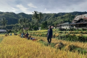 masyarakat-banasu-berupaya-peroleh-penetapan-hutan-adat