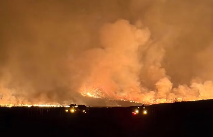 ulah-manusia-memicu-api-menyapu-ratusan-hektare-lahan-di-bromo-dan-rinjani