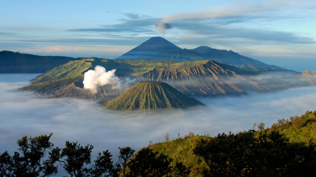 tnbts-rumah-bagi-beragam-flora-dan-fauna-langka,-jangan-sampai-api-mengepungnya