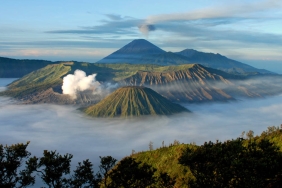 tnbts-rumah-bagi-beragam-flora-dan-fauna-langka,-jangan-sampai-api-mengepungnya