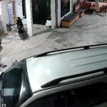 motor-warga-sampang-dicuri,-pelaku-terekam-cctv-saat-beraksi-di-teras-rumah