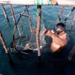 kelong-cacak,-warisan-maritim-yang-menjaga-laut-kepulauan-riau