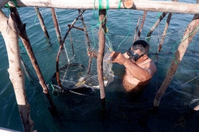kelong-cacak,-warisan-maritim-yang-menjaga-laut-kepulauan-riau