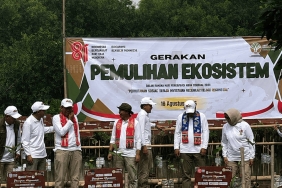 bukan-sekadar-taman-satwa!-jsn-sukses-tetaskan-nuri-kabare-dan-lepasliarkan-5-burung-ke-alam