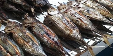 8-olahan-seafood-khas-papua-yang-menyimpan-cerita-di-balik-rasanya