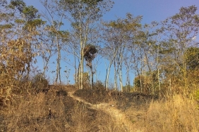 puncak-kemarau-2026-diprediksi-agustus-september,-saatnya-bersiap-hadapi-cuaca-kering