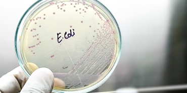 nature-has-spent-billions-of-years-fighting-bacteria-–-ai-could-help-us-learn-its-secrets