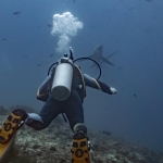 riset:-banyak-penyelam-remehkan-dampak-‘scuba-diving’-bagi-terumbu-karang