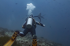 riset:-banyak-penyelam-remehkan-dampak-‘scuba-diving’-bagi-terumbu-karang