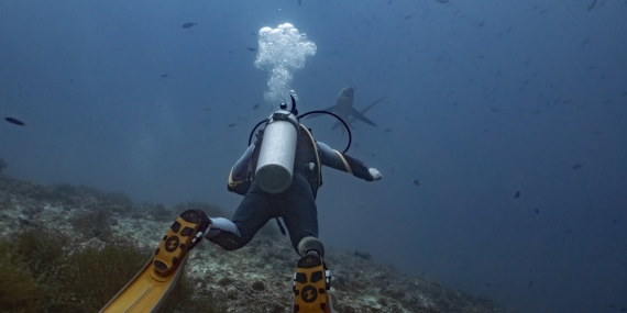 riset:-banyak-penyelam-remehkan-dampak-‘scuba-diving’-bagi-terumbu-karang