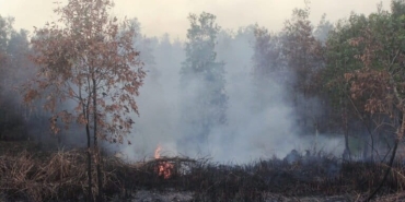 ketika-perempuan-paling-terdampak-kebakaran-hutan-dan-lahan-di-kalsel