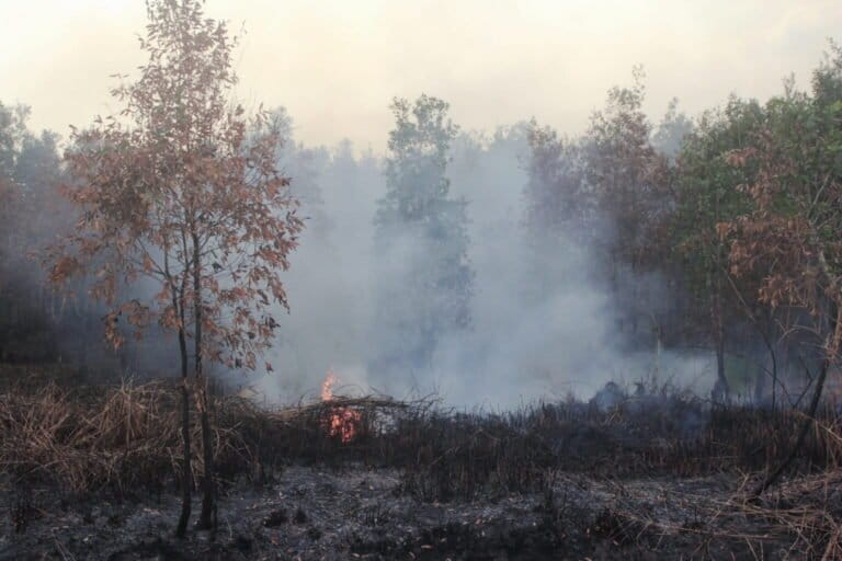 ketika-perempuan-paling-terdampak-kebakaran-hutan-dan-lahan-di-kalsel