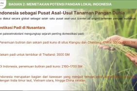 2.564-spesies-tumbuhan-berpotensi-dikembangkan-sebagai-sumber-pangan