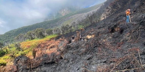 ketika-kebakaran-landa-taman-nasional-gunung-gede-pangrango