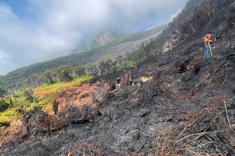 ketika-kebakaran-landa-taman-nasional-gunung-gede-pangrango