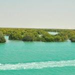 iran-oil-spill:-the-war-is-leaving-environmental-scars-that-ceasefires-cannot-heal