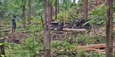 puluhan-pohon-jati-rph-sukun-raib-misterius,-3-petugas-diperiksa