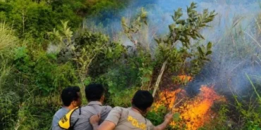 kebakaran-hutan-berulang,-walhi-soroti-lemahnya-kemauan-politik-pemerintah