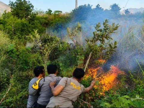 kebakaran-hutan-berulang,-walhi-soroti-lemahnya-kemauan-politik-pemerintah