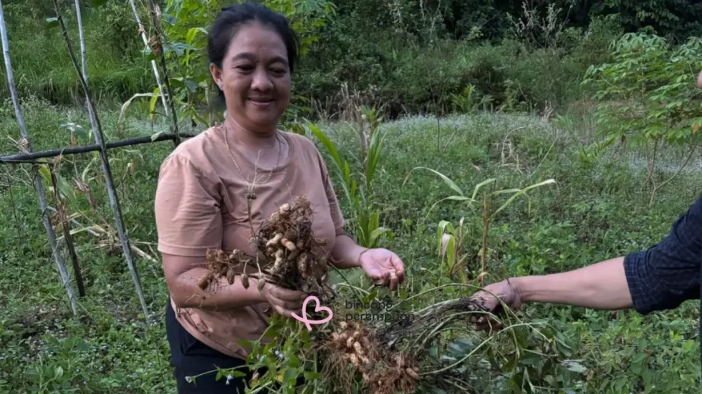 menjaga-hutan,-menjamin-pangan:-cara-perempuan-ansok-merawat-tanah-adat
