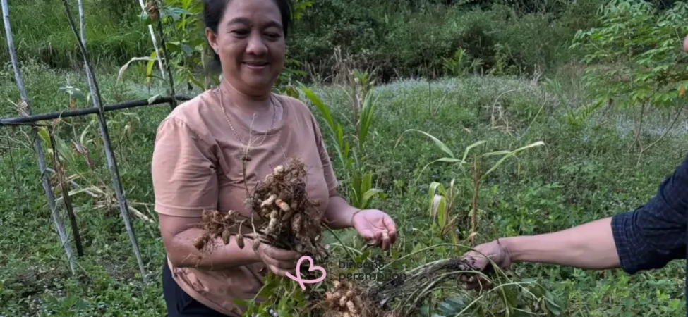 menjaga-hutan,-menjamin-pangan:-cara-perempuan-ansok-merawat-tanah-adat