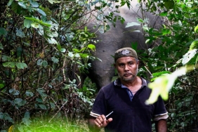 anhar-lubis,-sang-penjaga-kehidupan-gajah-sumatera