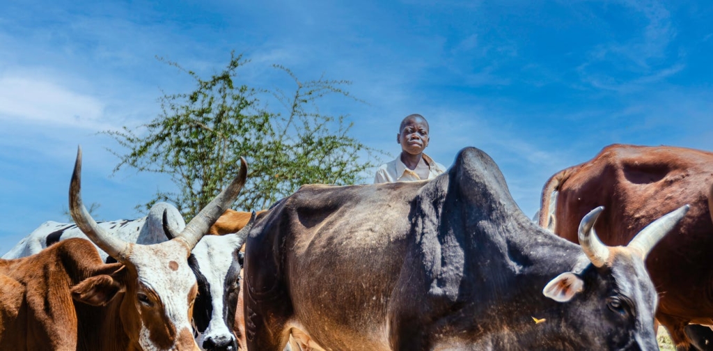 how-healthier-farm-animals-can-cut-greenhouse-gas-emissions