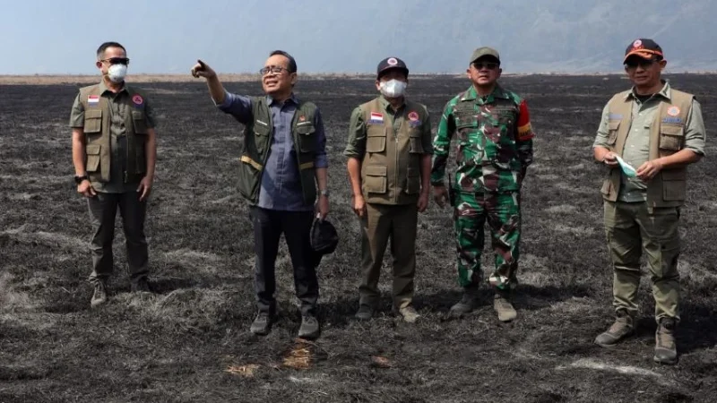 kebakaran-889-hektare-kawasan-bromo-dinyatakan-padam,-tapi-bara-masih-perlu-diwaspadai