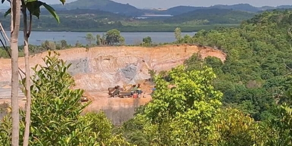 ketika-perusahaan-properti-jadi-tersangka-perusak-hutan-mangrove-batam