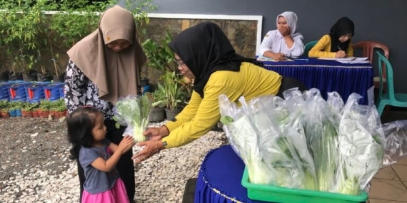 kebun-gizi,-ikhtiar-perempuan-tani-melawan-stunting-di-malang